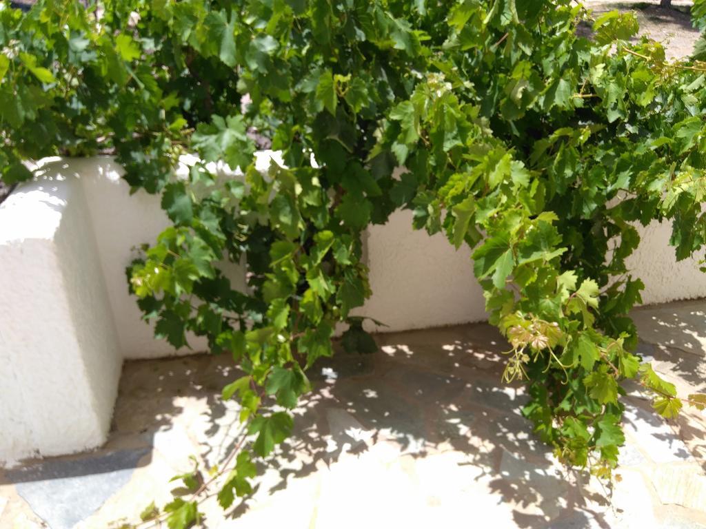 Appartement Grandes Kouremenos Palekastro